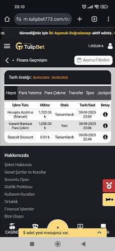 Screenshot_2025-09-30-23-10-11-861_com.android.chrome